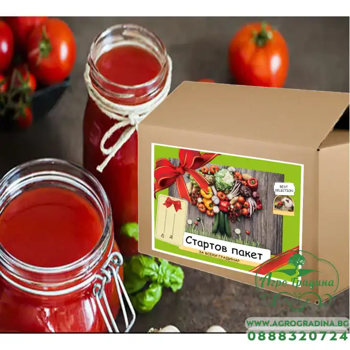 В търсене на кетчупа - подаръчен пакет с игра за всяко любопитно хлапе