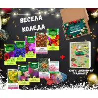 Подаръчен пакет за Коледа (Цветя)