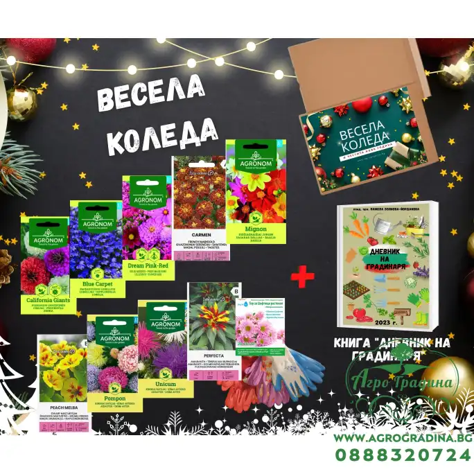 Подаръчен пакет за Коледа (Цветя)