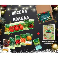 Подаръчен пакет за Коледа