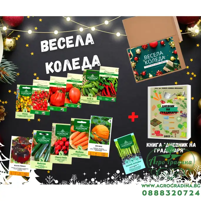 Подаръчен пакет за Коледа