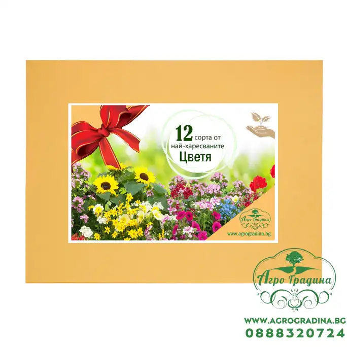 Колекция с 12 сорта приказни многогодишни цветя