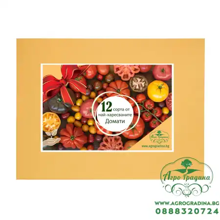 Колекция с 12 сорта семена за най-популярните Български домати
