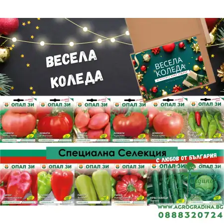 Специална Коледна селекция - от България с любов