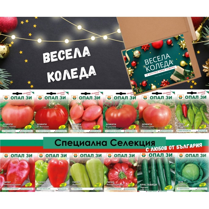 Специална Коледна селекция - от България с любов