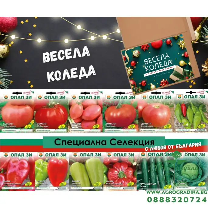 Специална Коледна селекция - от България с любов