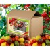 Стартов пакет за всеки любител на чери доматите