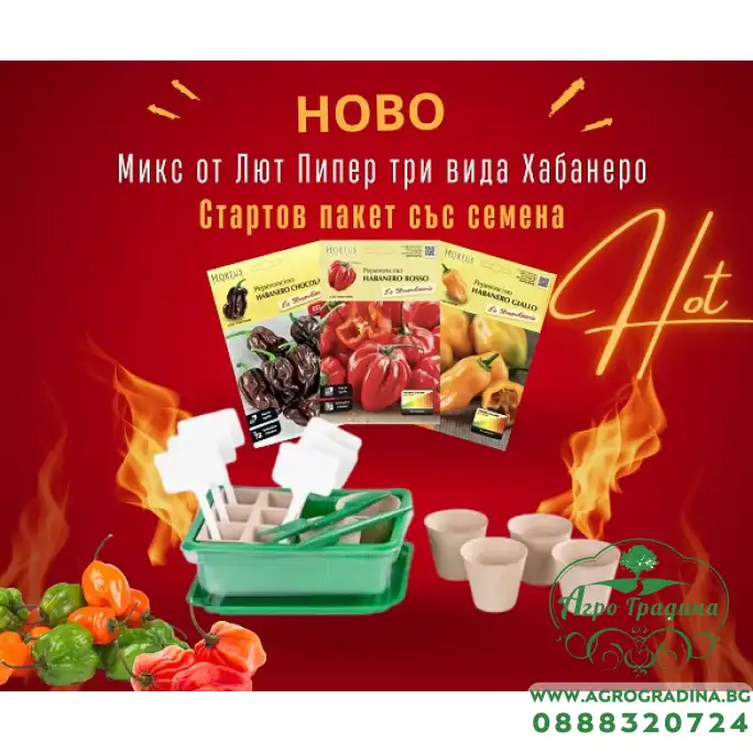 Стартов пакет Микс от лют пипер - три вида Хабанеро