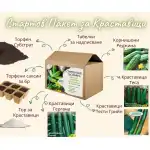 Стартов пакет за ценителите на вкусните Краставици