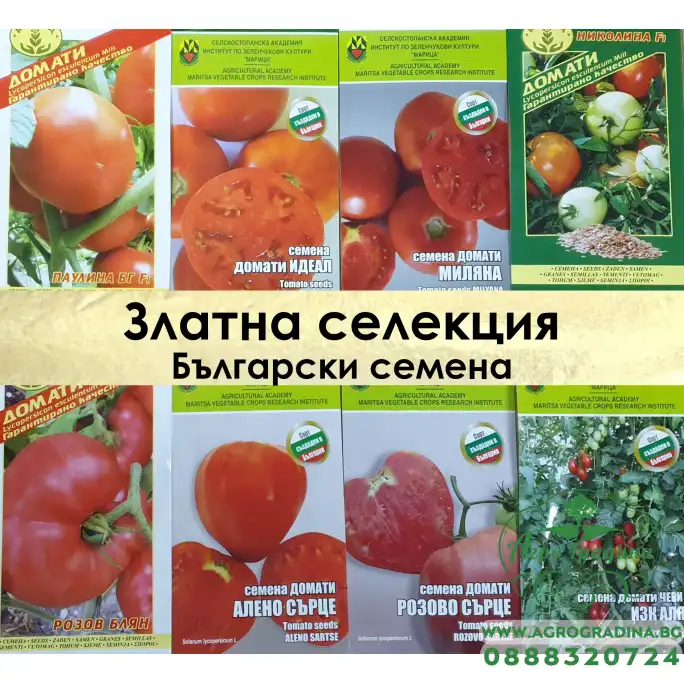 Златна Колекция Български семена за домати