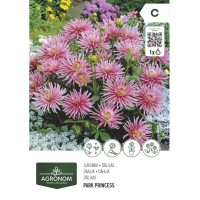 Далия (Гергина) Принцесата - 1 бр луковицa