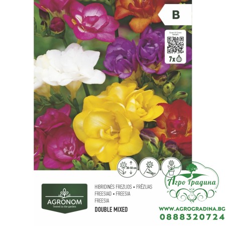 Фрезия Двойна Микс Freesia Double Mixed - 7 бр луковици