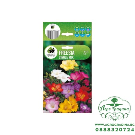 Фрезия Двойна Микс Freesia Double Mix - 10 бр луковици