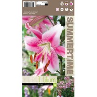 Лилиум Lilium Anastasia - 1 бр луковицa 