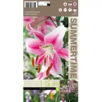 Лилиум Lilium Anastasia - 1 бр луковицa 