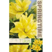 Лилиум Lilium Asiatic Fata Morgana - 1 бр луковицa 