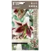 Лилиум Мечтата на Бевърли Lilium Beverly dream - 1 бр луковица – Пролетни луковици