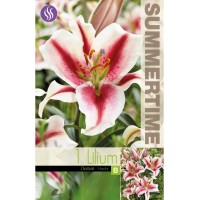 Лилиум Decorative Double Hachi - 1 бр луковицa