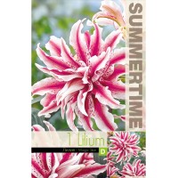 Лилиум Decorative Double Magic Star - 1 бр луковицa