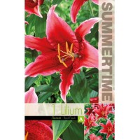 Лилиум Decorative Double Red Flash - 1 бр луковицa