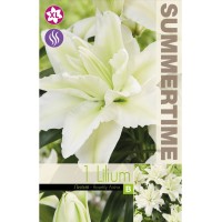 Лилиум Decorative Double Roselily Aisha - 1 бр луковицa