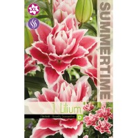 Лилиум Decorative Double Roselily Samant - 1 бр луковицa