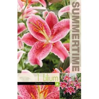 Лилиум Astar gazer - 1 бр луковицa