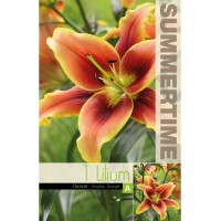 Лилиум Trumpet Avalon Sunset - 1 бр луковицa