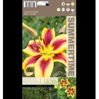 Лилиум Viva la vida - 1 бр луковицa