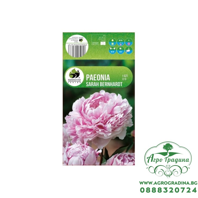 Божур Paeonia Sarah Bernhardt - 1 бр луковицa