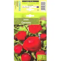 Лютиче Червено Ranunculus Red - 10 бр луковици