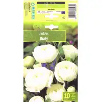 Лютиче Бяло Ranunculus - 10 бр луковици