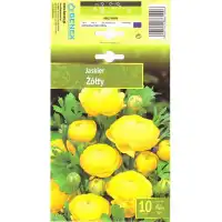 Лютиче Жълто Ranunculus - 10 бр луковици
