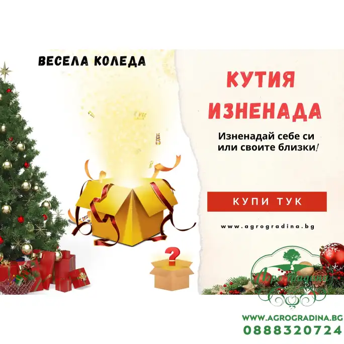 Кутия Изненада - Позволи ни да те изненадаме!