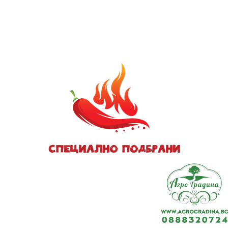 Пакет семена от Люти чушки за любители и ентусиасти