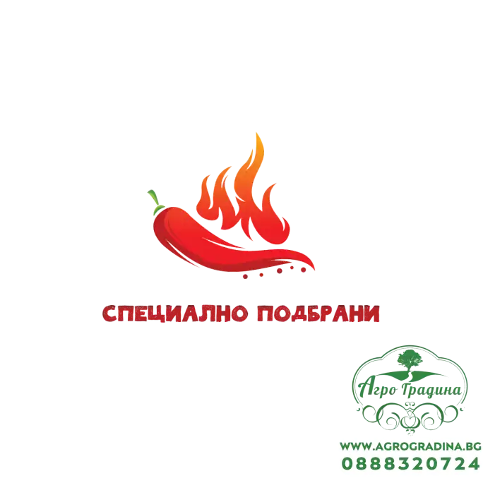 Пакет семена от Люти чушки за любители и ентусиасти