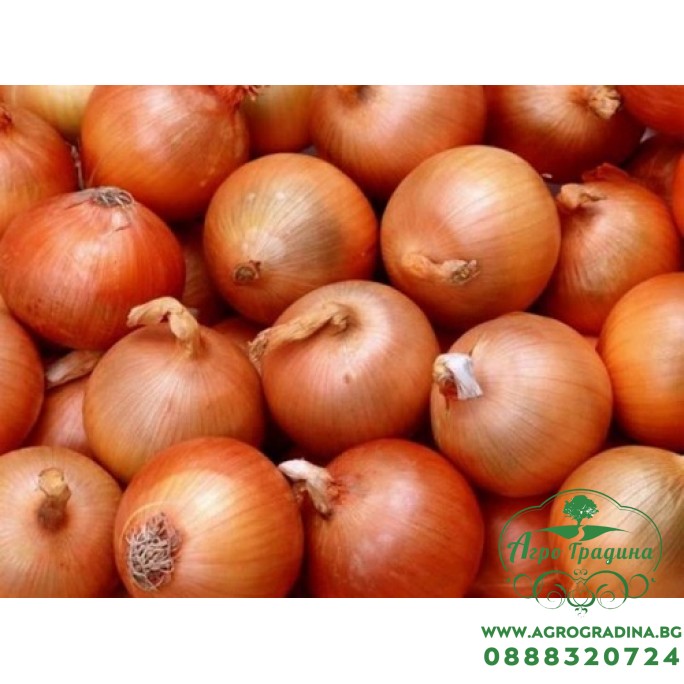 Арпаджик (Балучка) Жълт - 0,5 кг