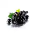Разсад Йоща Jostaberry (Ribes × nidigrolaria) - хибрид между касис и цариградско грозде
