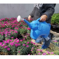 Детска лейка Слонче - 2 л