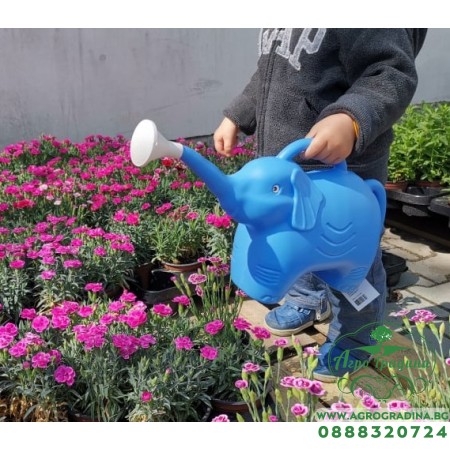 Детска лейка Слонче - 2 л