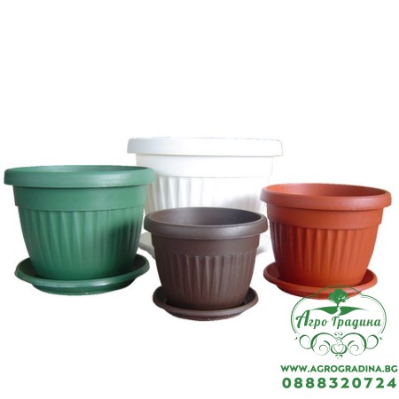 Саксии Оребрени ∅ 25 cm