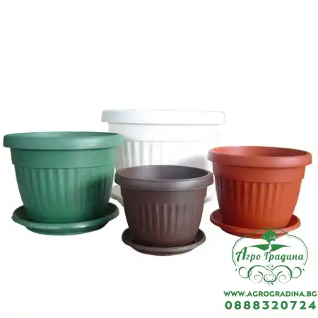 Саксии Оребрени ∅ 20 cm