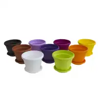 Саксии Гербер ∅ 14 см