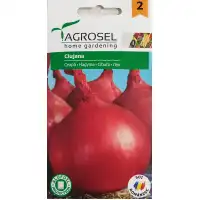 Червен Лук Клужана Clujana