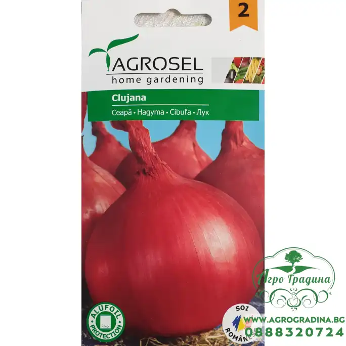 Червен Лук Клужана Clujana
