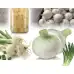 Лук Албиенка Allium cepa L Albienka