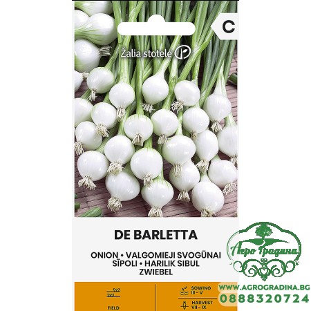 Лук Де Барлета Allium cepa L De Barletta