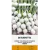 Лук Де Барлета Allium cepa L De Barletta