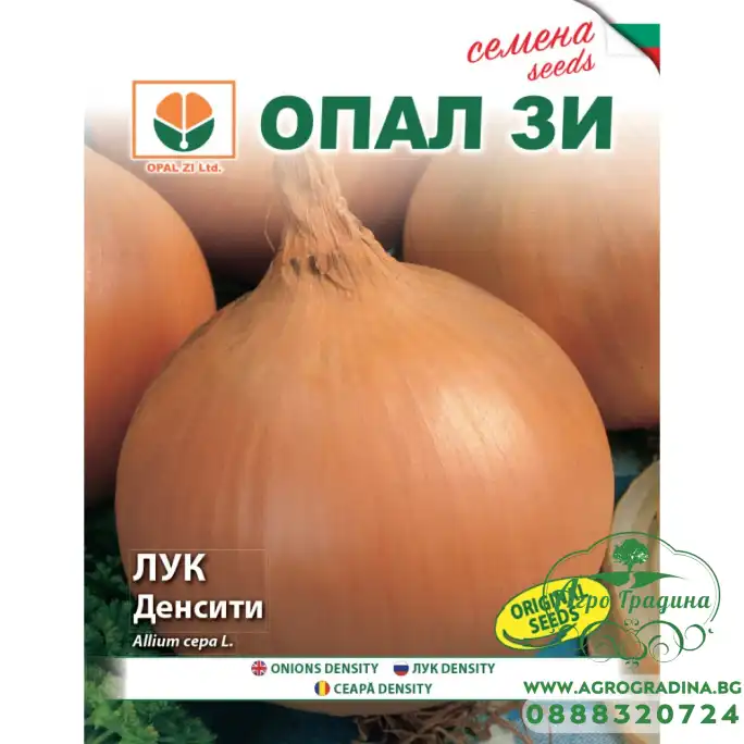 Лук Денсити (тип Испанска каба)