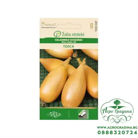 Лук Тоска / Tosca